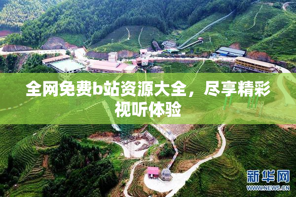 全网免费b站资源大全，尽享精彩视听体验