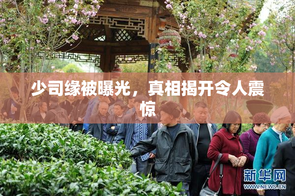 少司缘被曝光，真相揭开令人震惊
