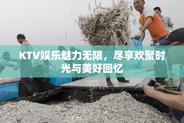 KTV娱乐魅力无限，尽享欢聚时光与美好回忆