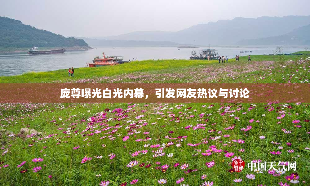 庞尊曝光白光内幕，引发网友热议与讨论