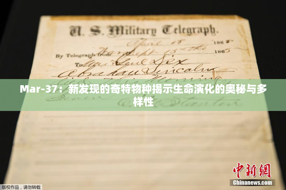 Mar-37：新发现的奇特物种揭示生命演化的奥秘与多样性