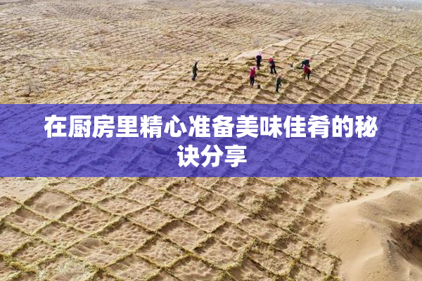 在厨房里精心准备美味佳肴的秘诀分享