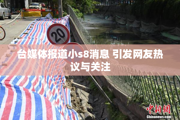 台媒体报道小s8消息 引发网友热议与关注