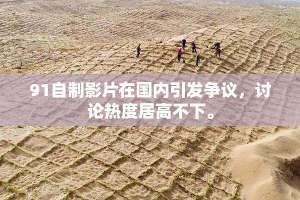91自制影片在国内引发争议，讨论热度居高不下。