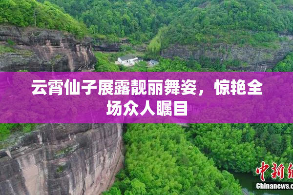 云霄仙子展露靓丽舞姿，惊艳全场众人瞩目