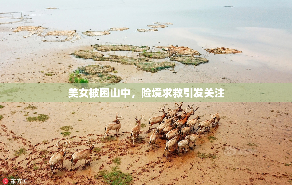 美女被困山中，险境求救引发关注