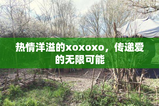 热情洋溢的xoxoxo，传递爱的无限可能