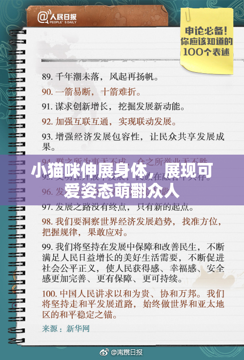 小猫咪伸展身体，展现可爱姿态萌翻众人