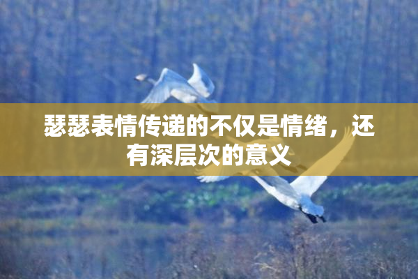 瑟瑟表情传递的不仅是情绪，还有深层次的意义