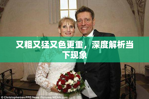 又粗又猛又色更重，深度解析当下现象