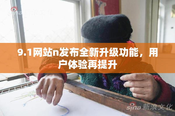 9.1网站n发布全新升级功能，用户体验再提升