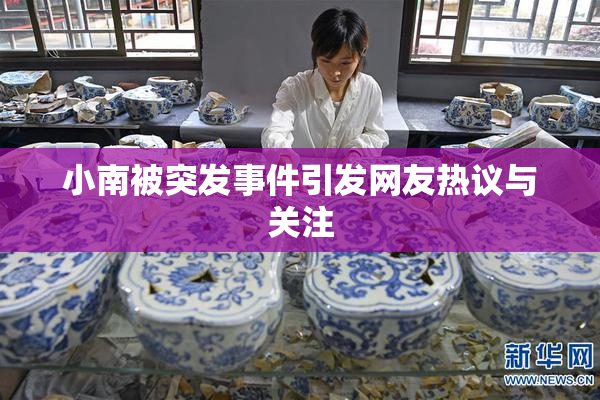 小南被突发事件引发网友热议与关注