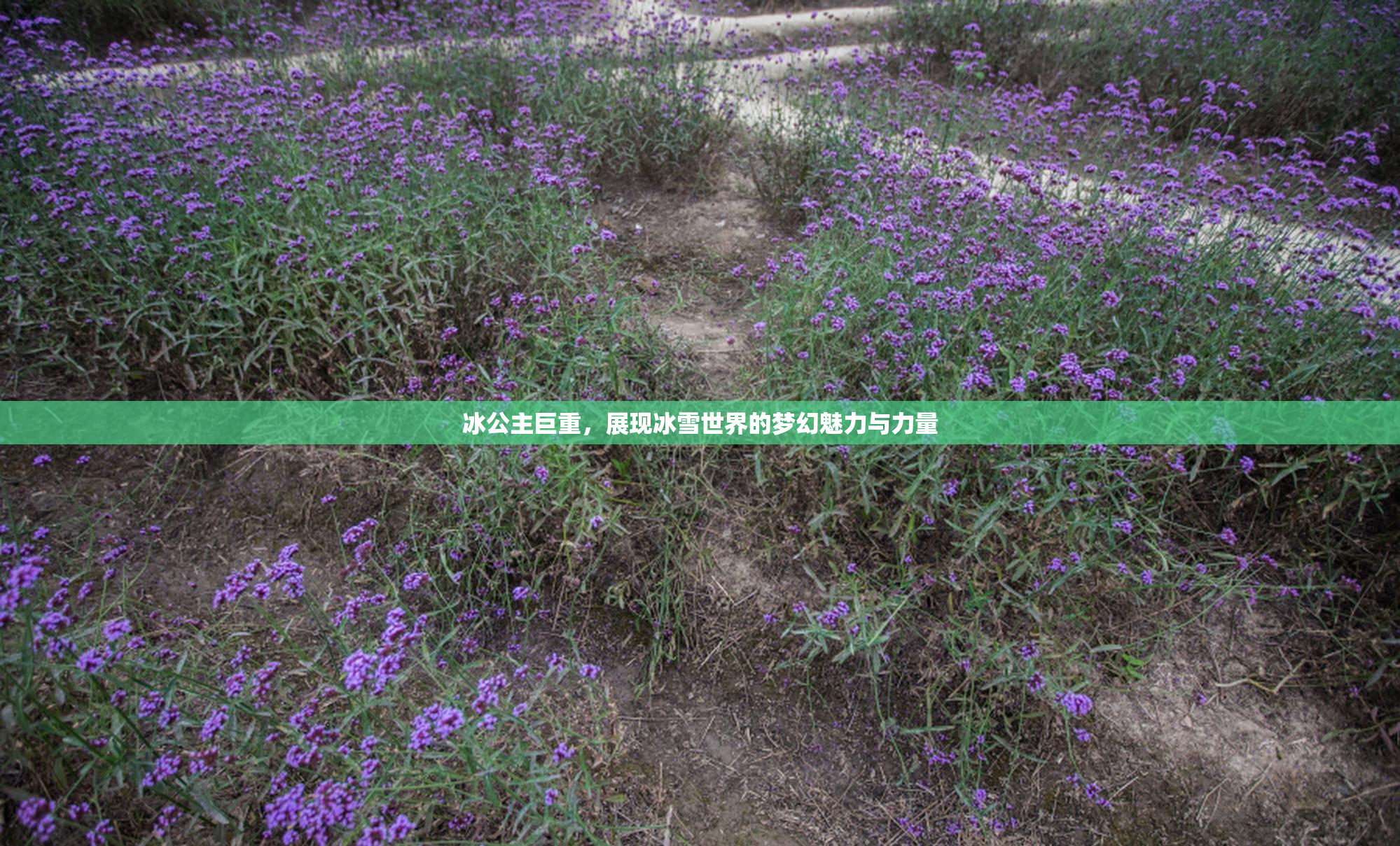冰公主巨重，展现冰雪世界的梦幻魅力与力量