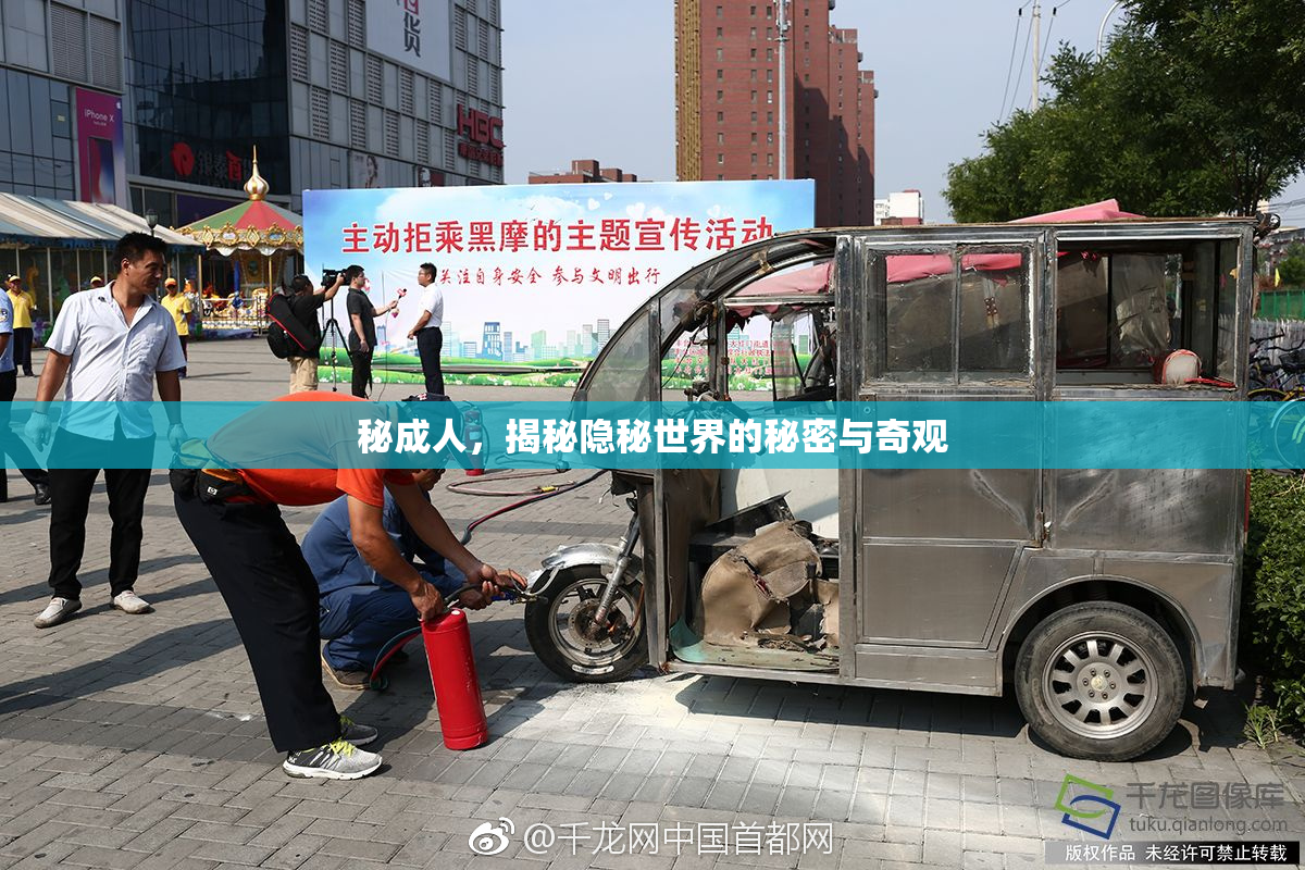 秘成人，揭秘隐秘世界的秘密与奇观