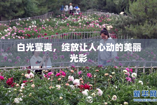 白光莹爽，绽放让人心动的美丽光彩