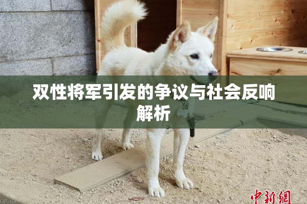 双性将军引发的争议与社会反响解析