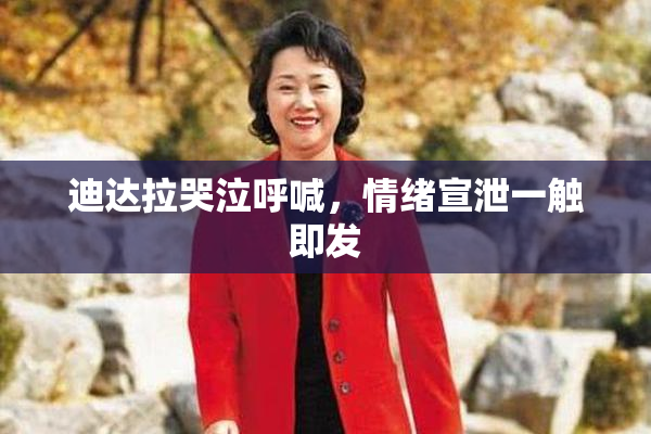 迪达拉哭泣呼喊，情绪宣泄一触即发