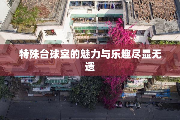 特殊台球室的魅力与乐趣尽显无遗