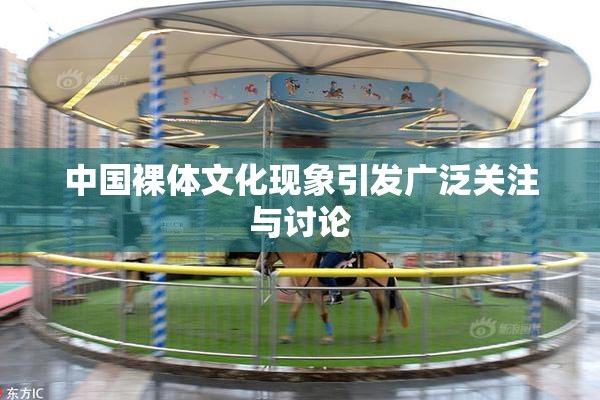 中国裸体文化现象引发广泛关注与讨论