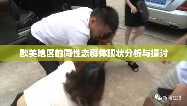 欧美地区的同性恋群体现状分析与探讨