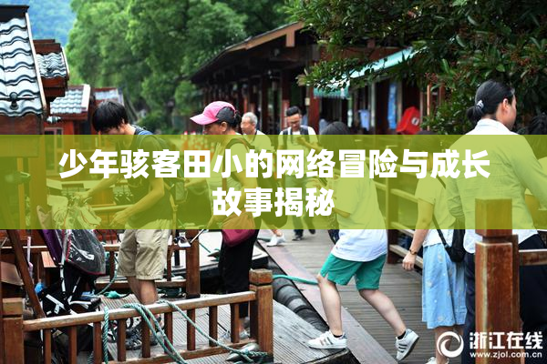 少年骇客田小的网络冒险与成长故事揭秘