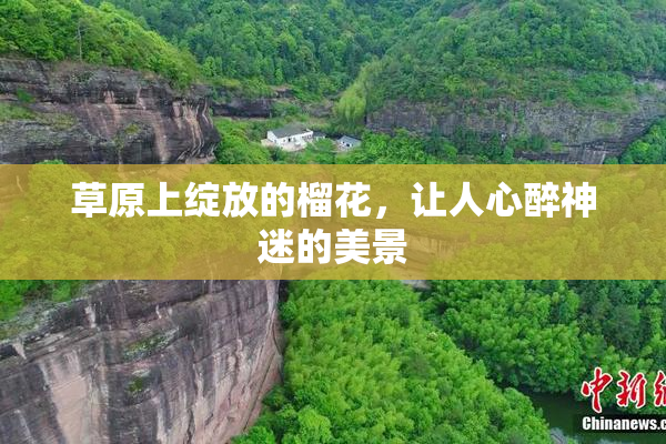 草原上绽放的榴花，让人心醉神迷的美景