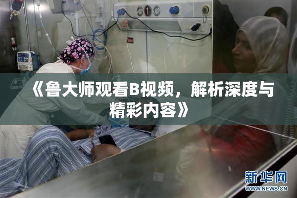 《鲁大师观看B视频，解析深度与精彩内容》