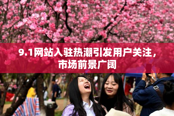 9.1网站入驻热潮引发用户关注，市场前景广阔