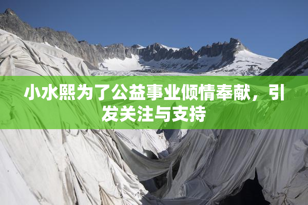 小水熙为了公益事业倾情奉献，引发关注与支持