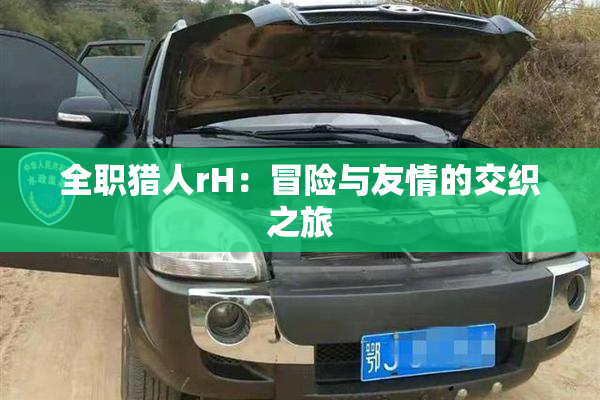 全职猎人rH：冒险与友情的交织之旅