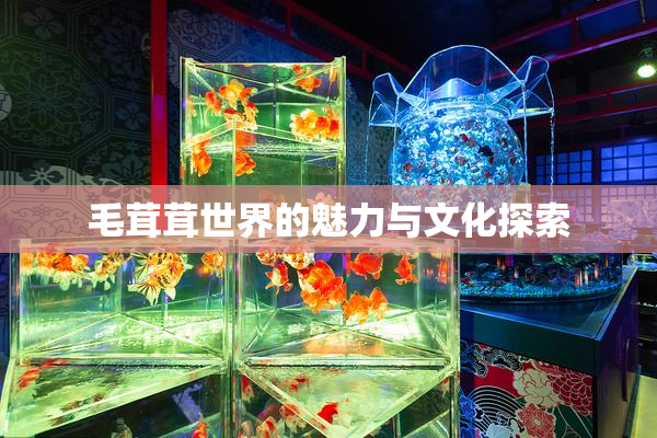 毛茸茸世界的魅力与文化探索
