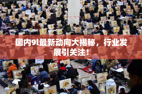 国内9l最新动向大揭秘，行业发展引关注！