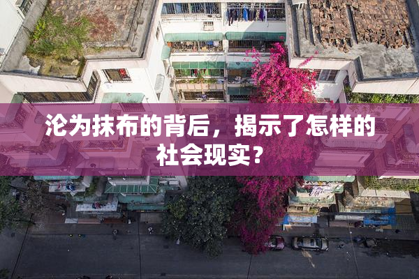 沦为抹布的背后，揭示了怎样的社会现实？