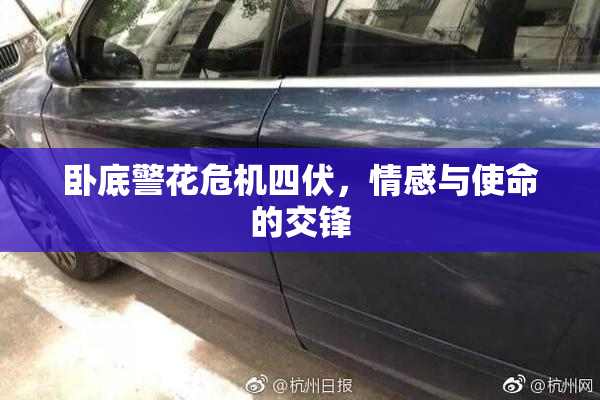 卧底警花危机四伏，情感与使命的交锋