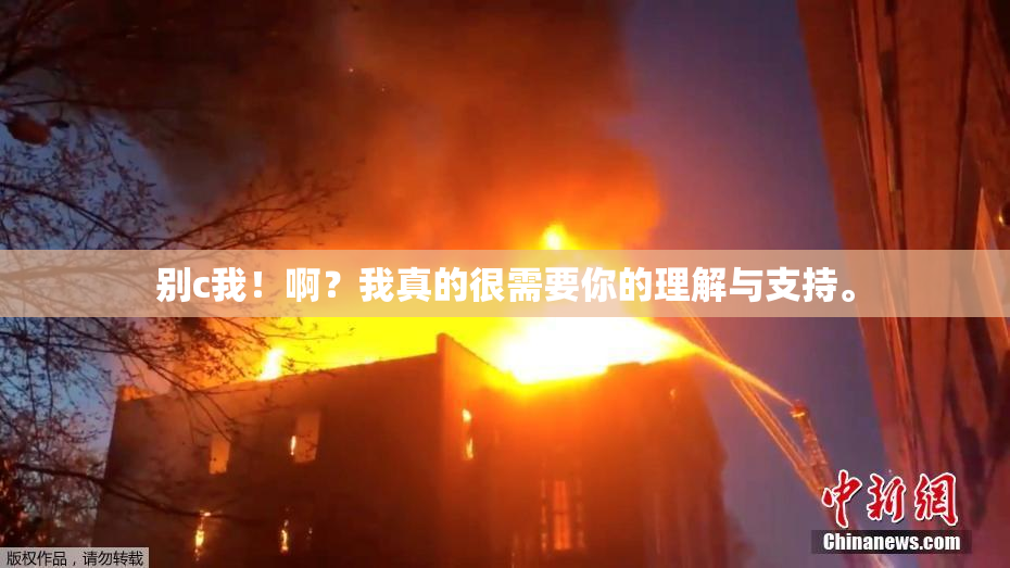 别c我！啊？我真的很需要你的理解与支持。