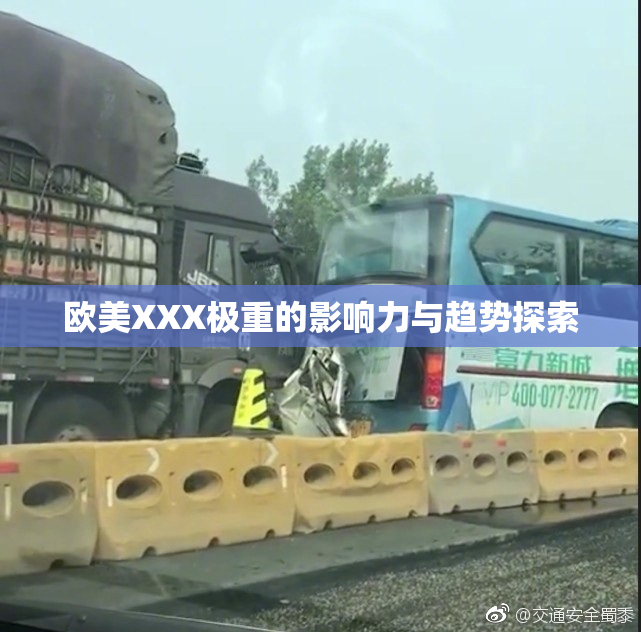 欧美XXX极重的影响力与趋势探索