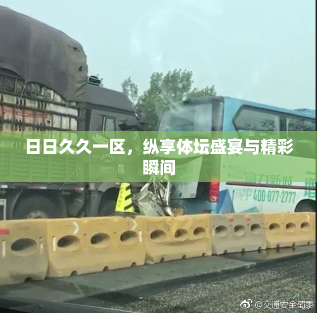 日日久久一区，纵享体坛盛宴与精彩瞬间