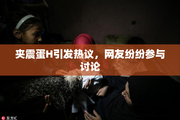 夹震蛋H引发热议，网友纷纷参与讨论