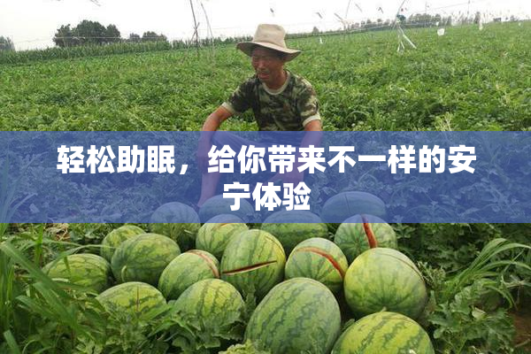 轻松助眠，给你带来不一样的安宁体验