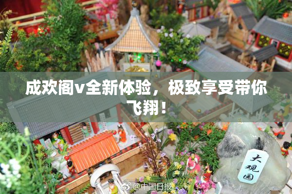 成欢阁v全新体验，极致享受带你飞翔！