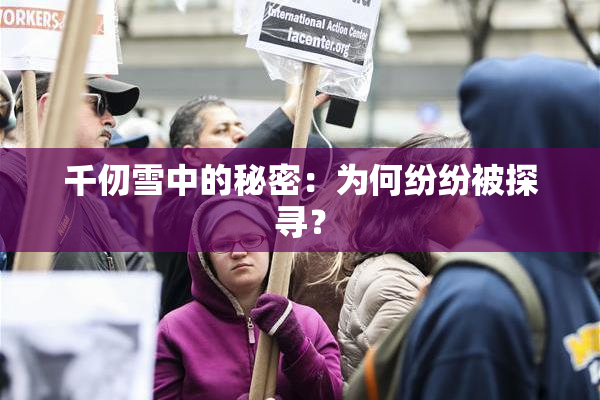 千仞雪中的秘密：为何纷纷被探寻？
