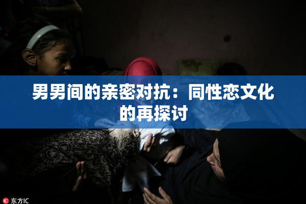 男男间的亲密对抗：同性恋文化的再探讨
