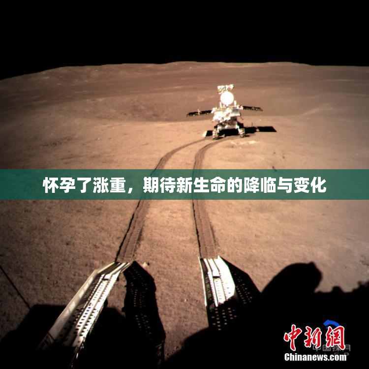 怀孕了涨重，期待新生命的降临与变化