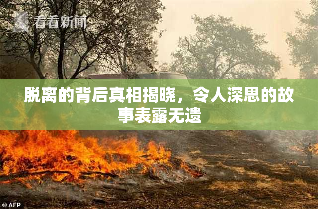 脱离的背后真相揭晓，令人深思的故事表露无遗