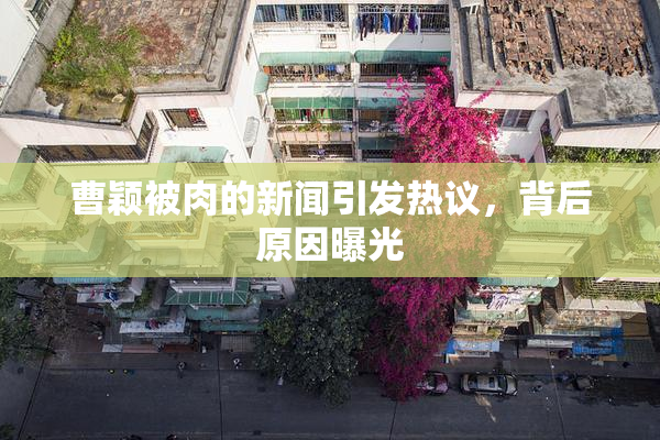 曹颖被肉的新闻引发热议，背后原因曝光