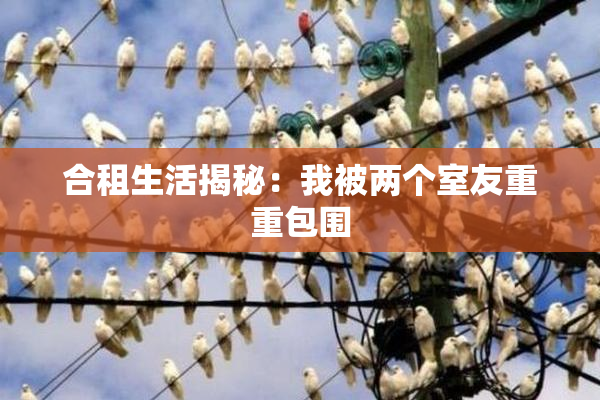 合租生活揭秘：我被两个室友重重包围