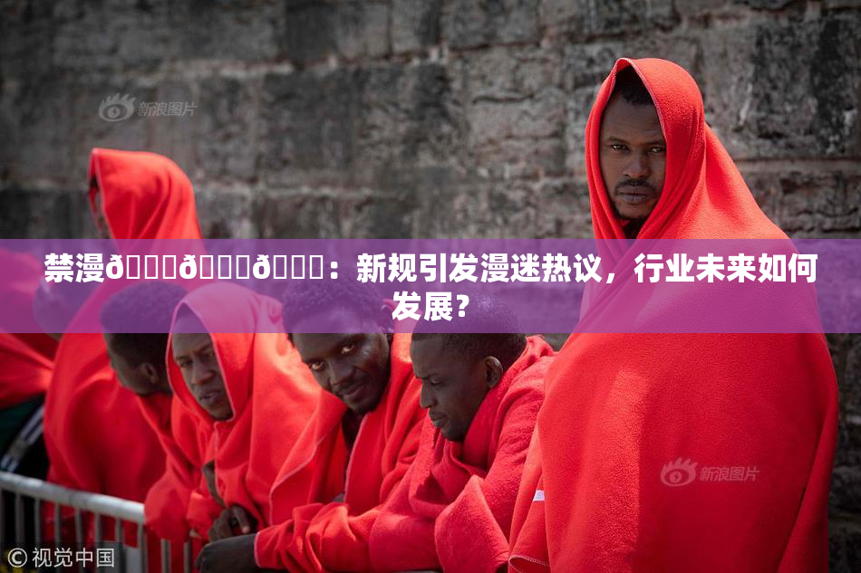 禁漫🍆🍑🔞：新规引发漫迷热议，行业未来如何发展？