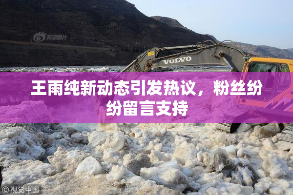 王雨纯新动态引发热议，粉丝纷纷留言支持