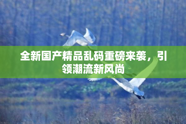 全新国产精品乱码重磅来袭，引领潮流新风尚