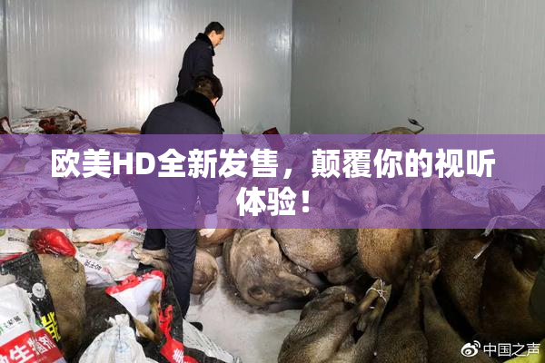 欧美HD全新发售，颠覆你的视听体验！